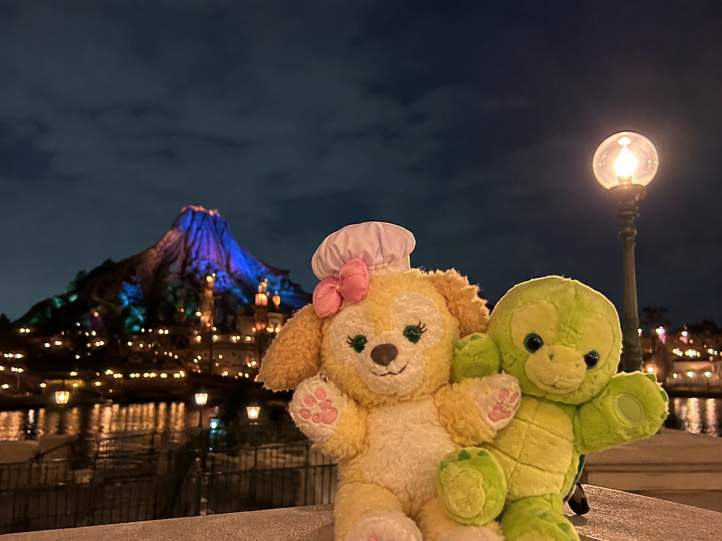 連れてった子たち。夜の写真、意外とちゃんと撮れる