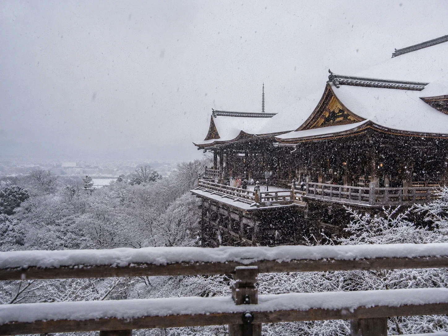 舞台から。雪で音まで消えていた